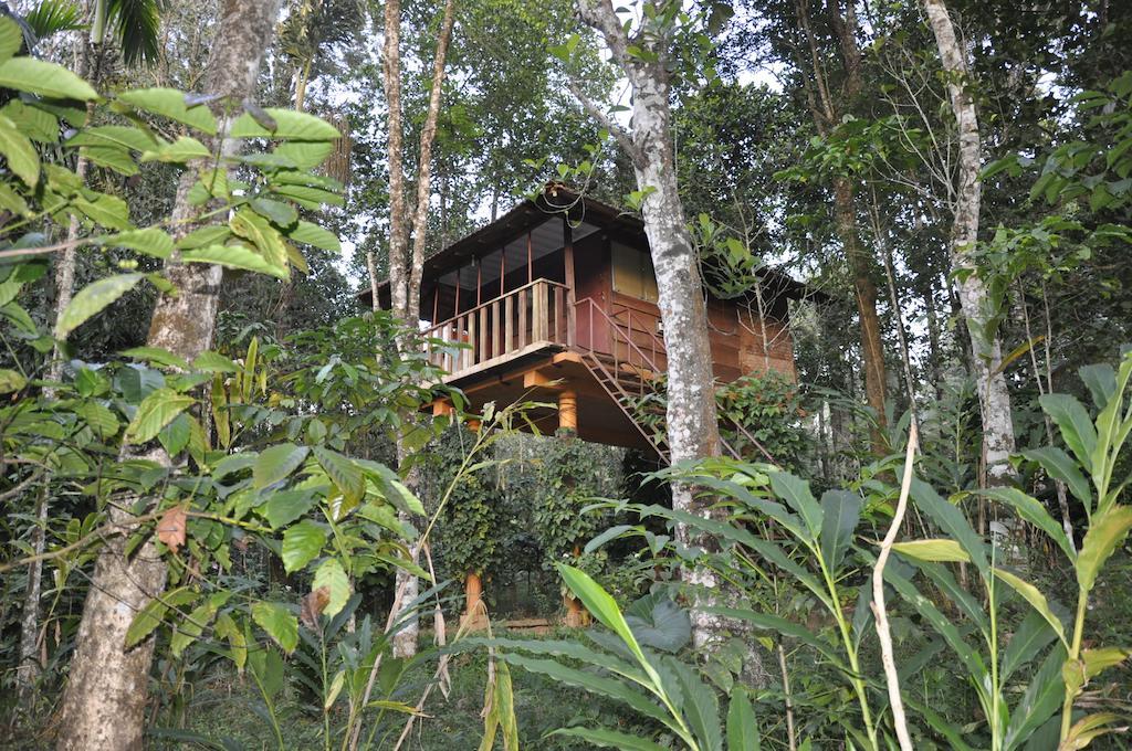 Sunbird Garden Resort Krishnagiri 部屋 写真
