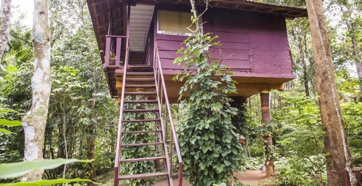Sunbird Garden Resort Krishnagiri エクステリア 写真